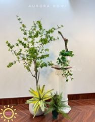 Tiểu cảnh cây giả cây thạch nam xinh xắn (Set cây decor 07)