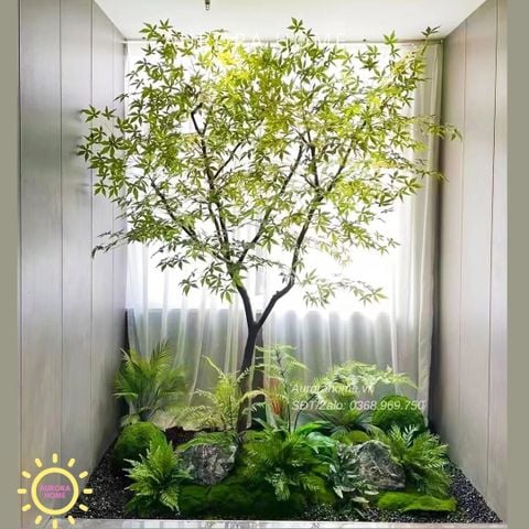 Tiểu cảnh cây lá phong Nhật (Mẫu 17)