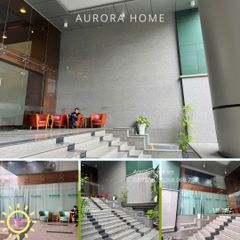 Dịch vụ trang trí tiểu cảnh, cảnh quan cây hoa theo yêu cầu