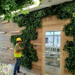 Dịch vụ trang trí tiểu cảnh, cảnh quan cây hoa theo yêu cầu