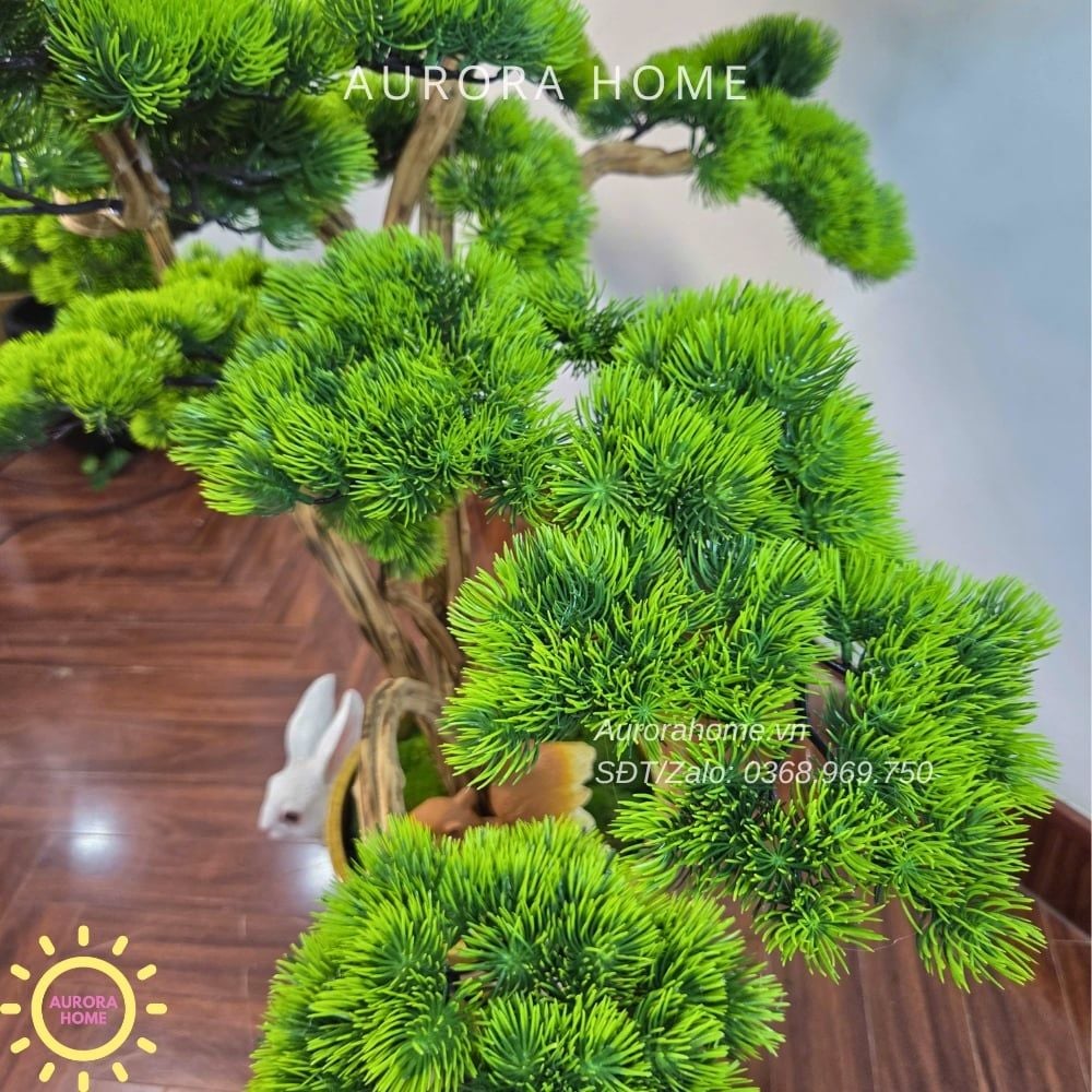Cây tùng bonsai tán tầng thiết kế theo yêu cầu