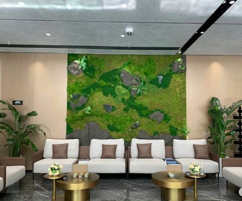 Tường rêu bảo tồn trang trí phòng khách (Mẫu 1)