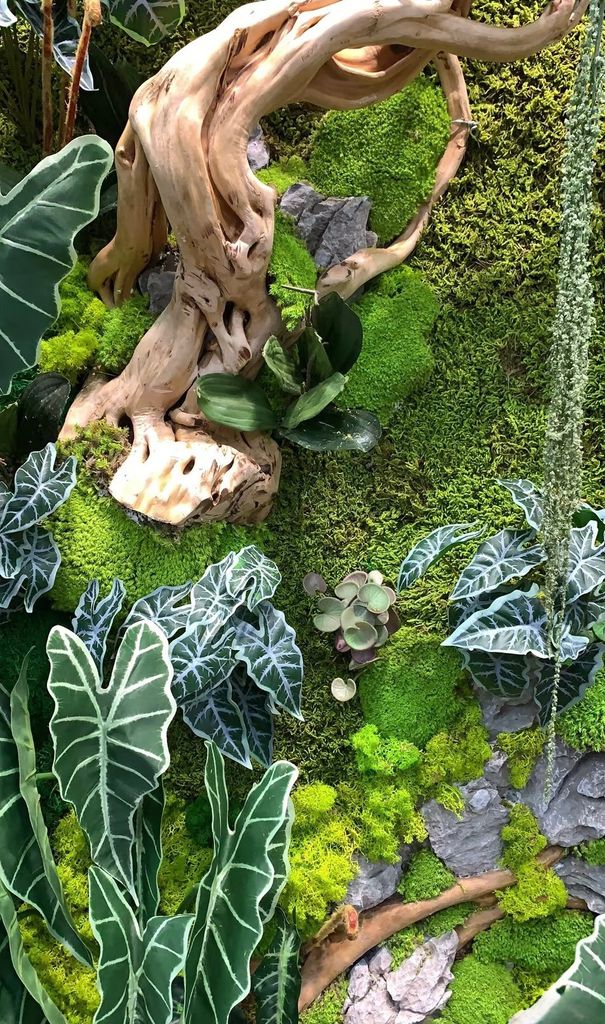 Tranh rêu bảo tồn thiết kế cao cấp (Mẫu 4)