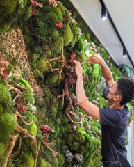 Tường rêu bảo tồn thiên nhiên thiết kế cao cấp (Mẫu 3)