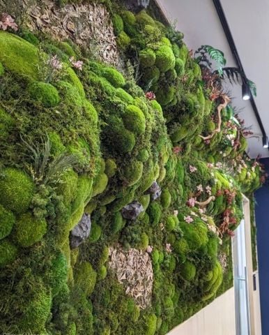 Tường rêu bảo tồn thiên nhiên thiết kế cao cấp (Mẫu 3)