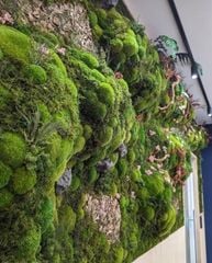 Tường rêu bảo tồn thiên nhiên thiết kế cao cấp (Mẫu 3)