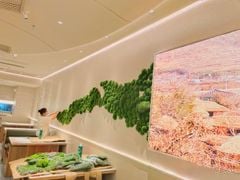 Tường rêu bảo tồn trang trí quán ăn, nhà hàng (Mẫu 2)