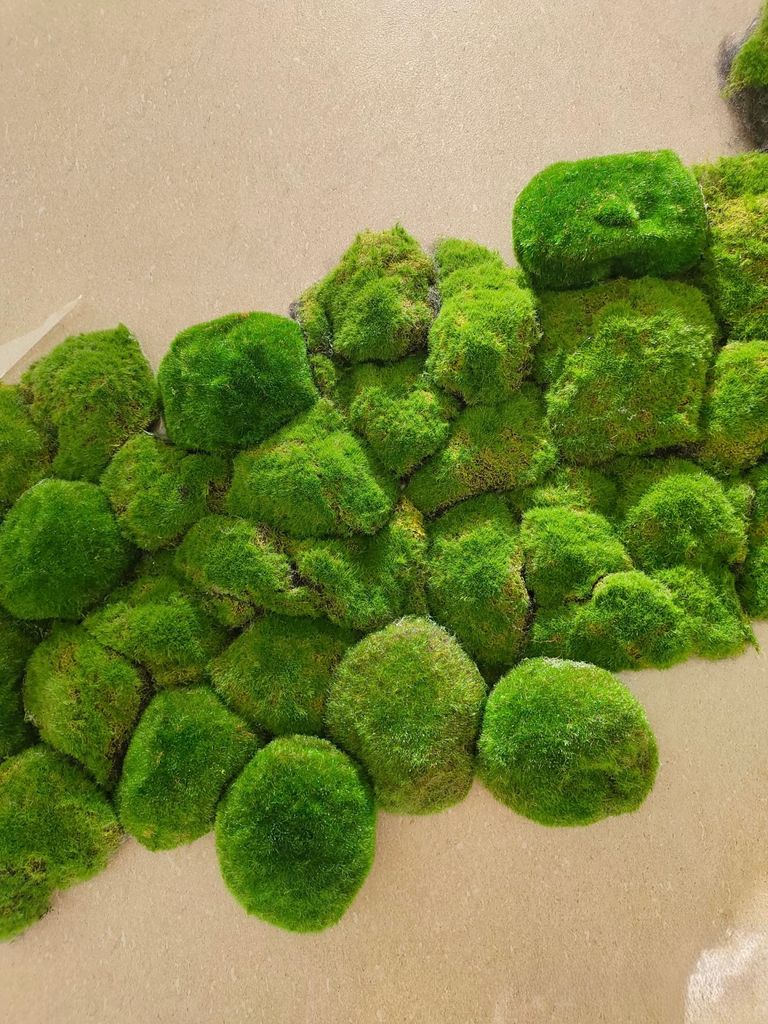 Tường rêu bảo tồn trang trí quán ăn, nhà hàng (Mẫu 2)