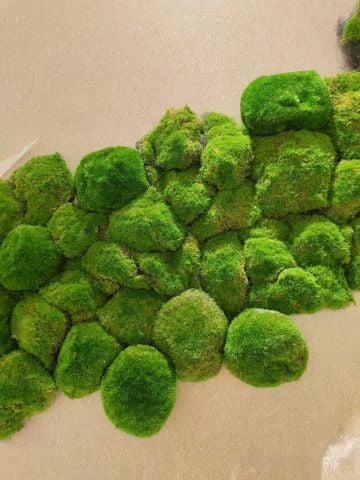 Tường rêu bảo tồn trang trí quán ăn, nhà hàng (Mẫu 2)