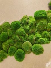 Tường rêu bảo tồn trang trí quán ăn, nhà hàng (Mẫu 2)