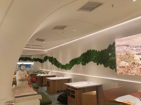 Tường rêu bảo tồn trang trí quán ăn, nhà hàng (Mẫu 2)