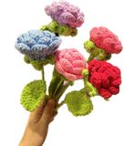  Hoa len hồng HL0225 