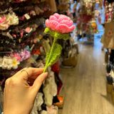  Hoa len hồng HL0225 