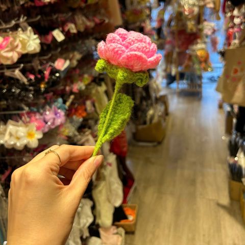  Hoa len hồng HL0225 