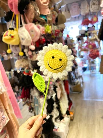  Hoa Len hướng dương HL0225 