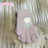  Bao tay len XML014 6 màu 