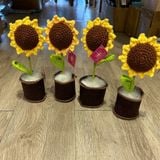  Hoa Len Chậu Nỉ HL0227 – Trang Trí Siêu Dễ Thương, Quà Tặng Ý Nghĩa 