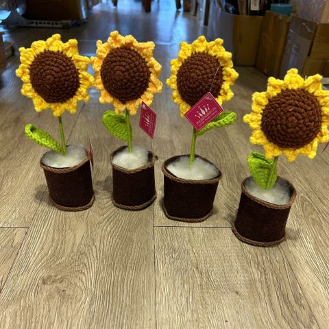  Hoa Len Chậu Nỉ HL0227 – Trang Trí Siêu Dễ Thương, Quà Tặng Ý Nghĩa 