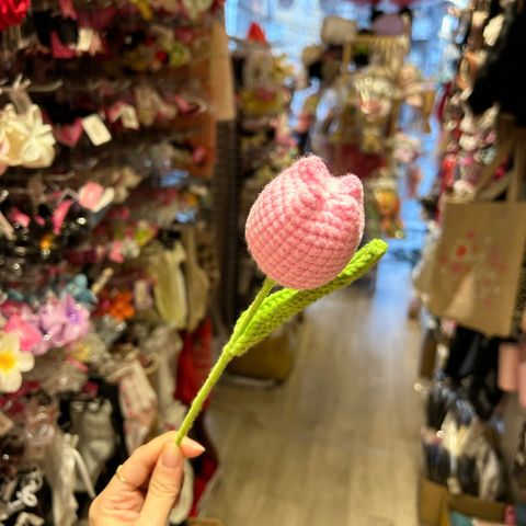  Hoa len tullip búp HL0226 