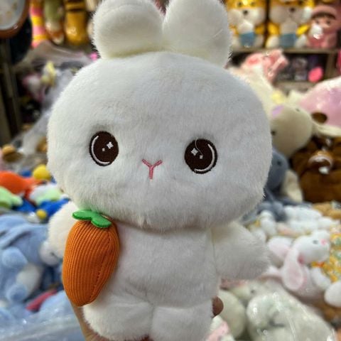  Thỏ & Mèo Nhồi Bông CGC027 – Siêu Cute Với Phụ Kiện 