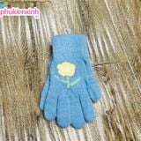  Bao tay len XML014 6 màu 