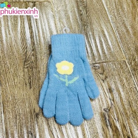  Bao tay len XML014 6 màu 