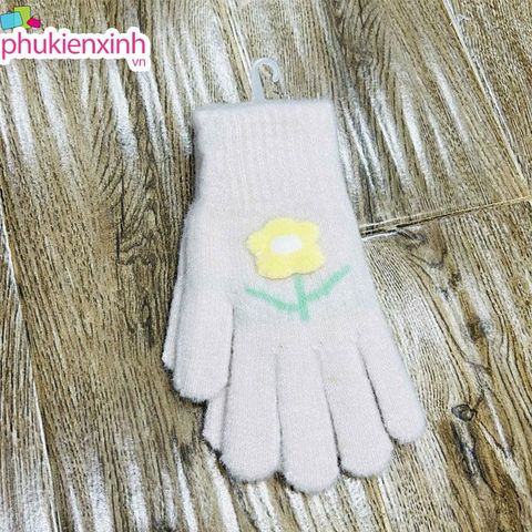  Bao tay len XML014 6 màu 