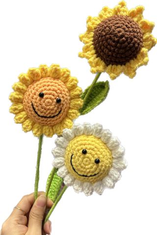  Hoa Len hướng dương HL0225 