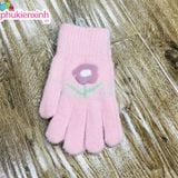  Bao tay len XML014 6 màu 