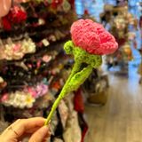  Hoa len hồng HL0225 