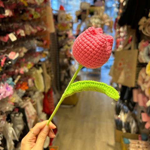  Hoa len tullip búp HL0226 