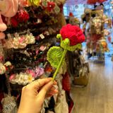  Hoa len hồng HL0225 