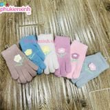  Bao tay len XML014 6 màu 