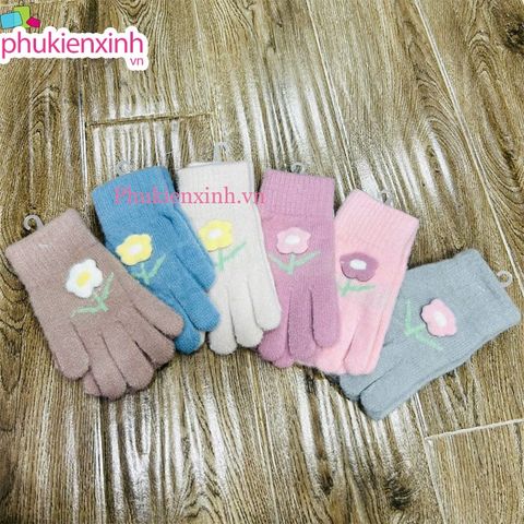  Bao tay len XML014 6 màu 