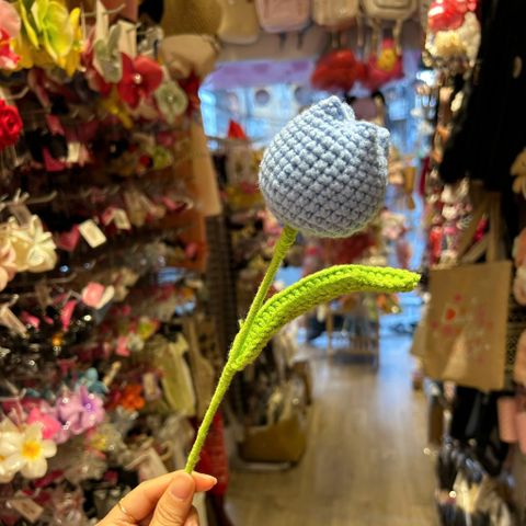  Hoa len tullip búp HL0226 