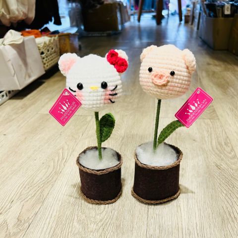  Hoa Len Chậu Nỉ HL0227 – Trang Trí Siêu Dễ Thương, Quà Tặng Ý Nghĩa 