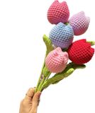  Hoa len tullip búp HL0226 