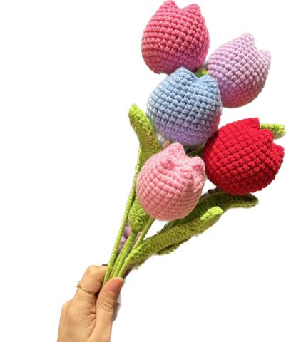  Hoa len tullip búp HL0226 