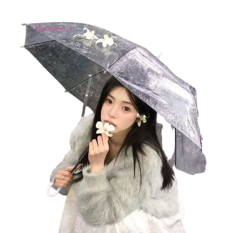  Dù Trong Suốt DS01 – Ô Trong Suốt Thời Trang 