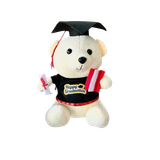  Gấu Cử Nhân GCN01 – Quà tốt nghiệp dễ thương 