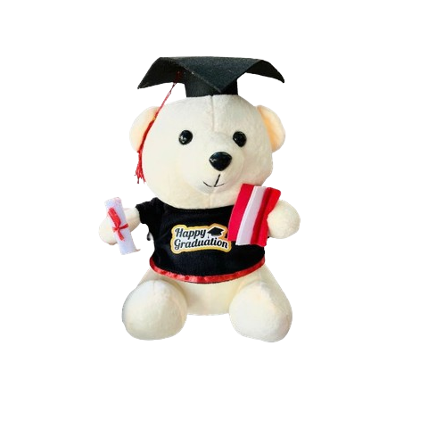  Gấu Cử Nhân GCN01 – Quà tốt nghiệp dễ thương 