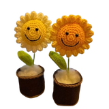  Hoa Len Chậu Nỉ HL0227 – Trang Trí Siêu Dễ Thương, Quà Tặng Ý Nghĩa 