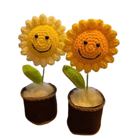  Hoa Len Chậu Nỉ HL0227 – Trang Trí Siêu Dễ Thương, Quà Tặng Ý Nghĩa 