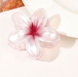  Kẹp Tóc Nhựa Hoa Sặc Sỡ K276 