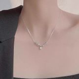  Dây Chuyền DC209 – Titan Chim & Lá – Thanh Lịch – Tinh Tế – Chuẩn Phong Cách Nữ Tính 