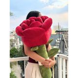  Hoa Hồng khổng lồ BGH01 