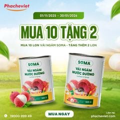 Vải Ngâm Soma 565g