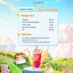 Mứt Boduo Chanh Dây 1Kg
