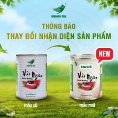 Vải Ngâm MOCHI 565g