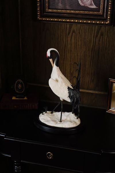  The Japanese Crane 